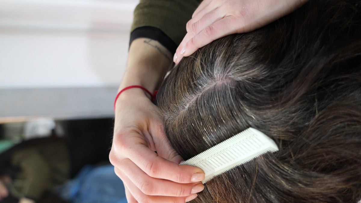 ¿La henna cubre el pelo blanco puro? Radhe Shyam