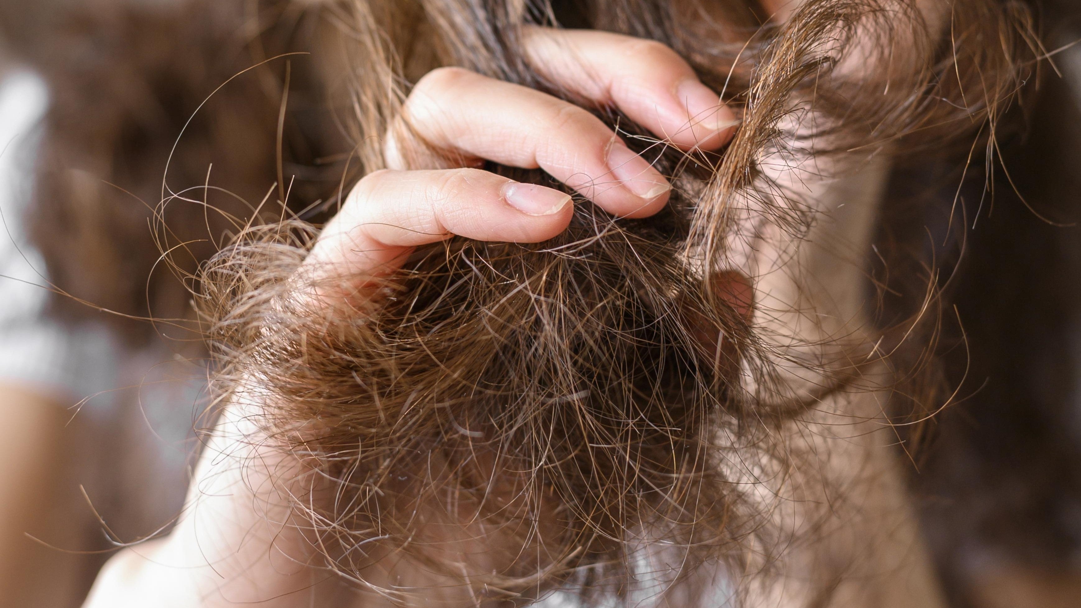 Recupera tu cabello después del verano de forma natural