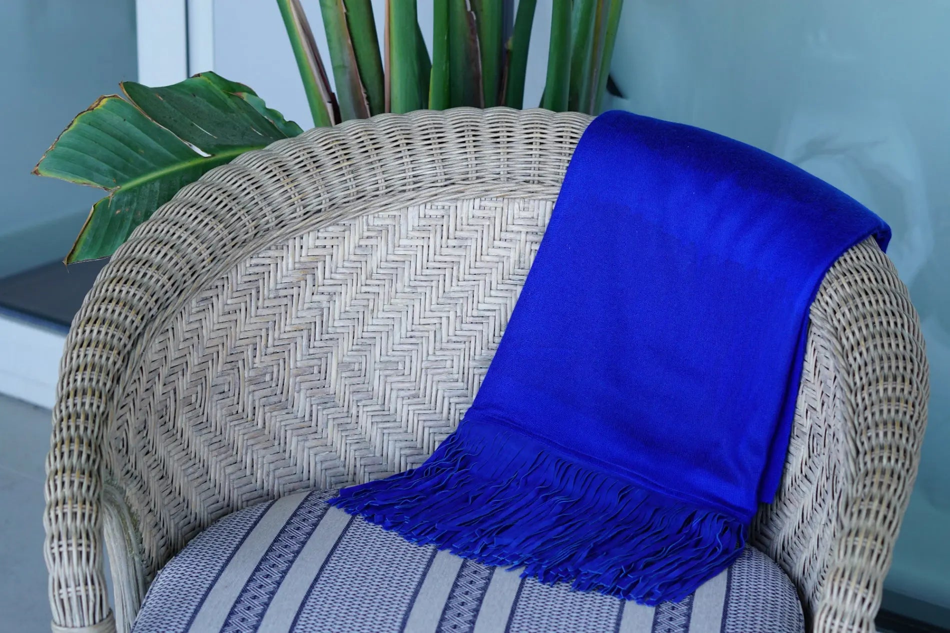 Pashmina de cashmere y seda Radhe Shyam test