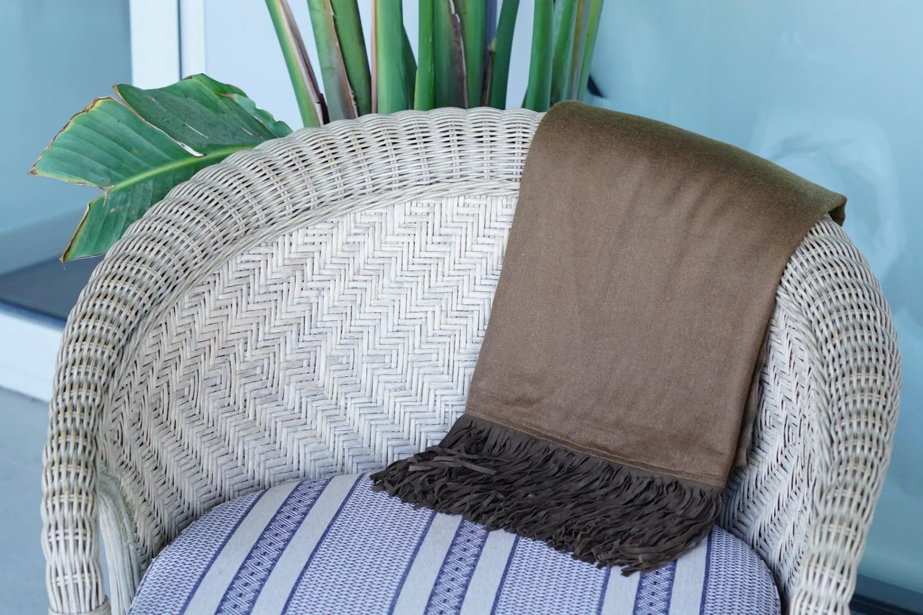 Pashmina de cashmere y seda Radhe Shyam test