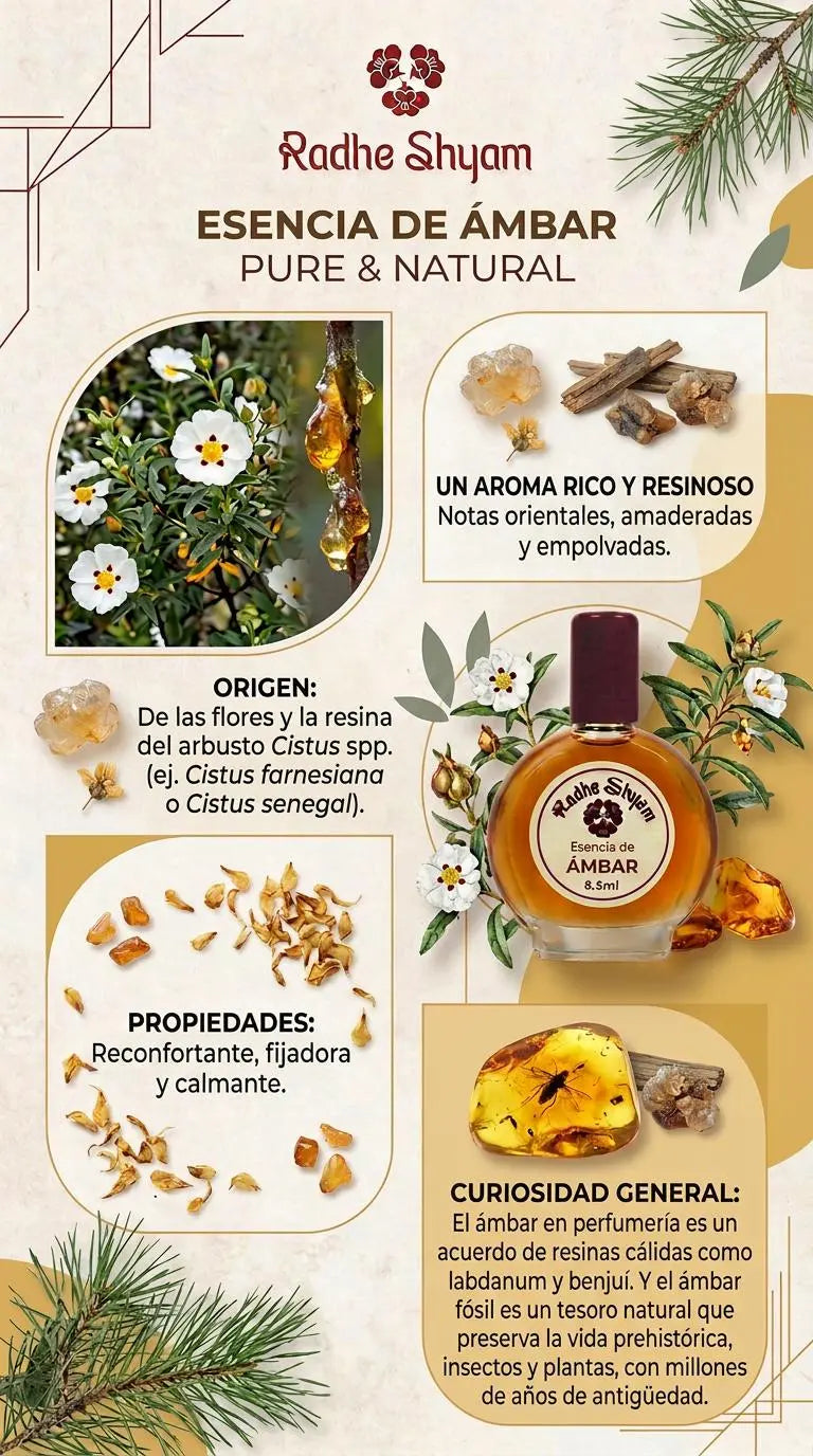 Radhe Shyam Amber Essence