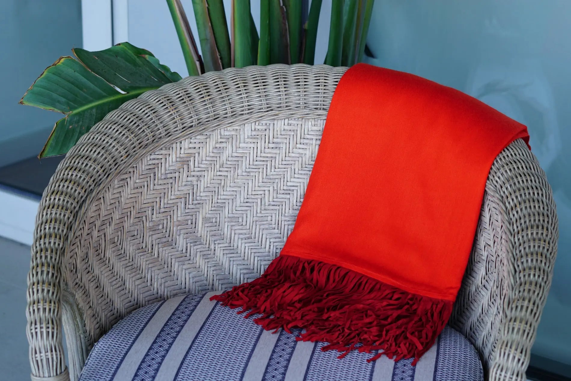 Pashmina de cashmere y seda Radhe Shyam test