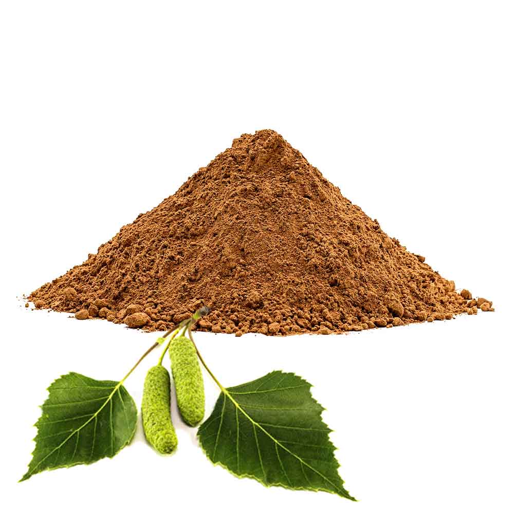 Abedul Tratamiento Capilar Natural Radhe Shyam