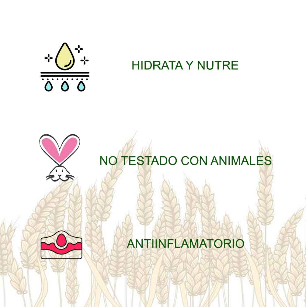 Aceite De Germen De Trigo Radhe Shyam