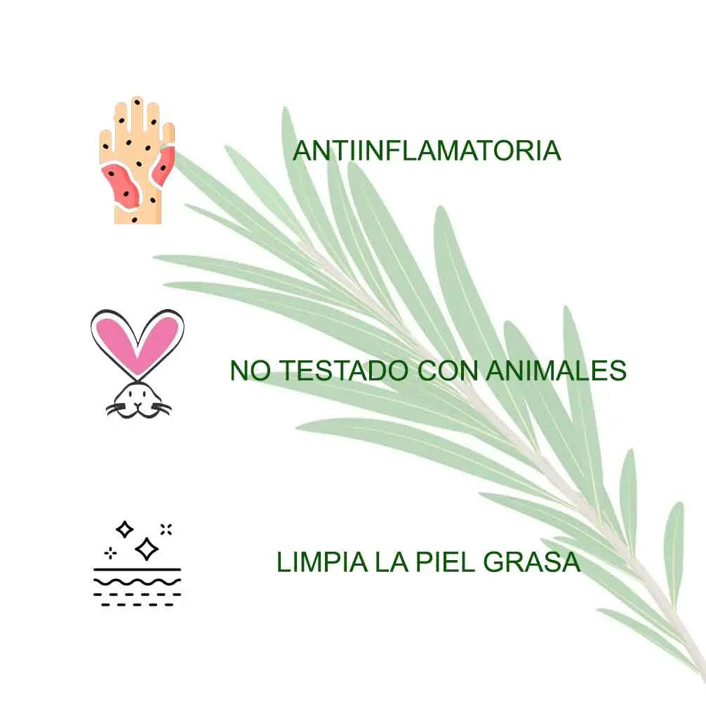 Aceite Del Arbol Del Te Radhe Shyam