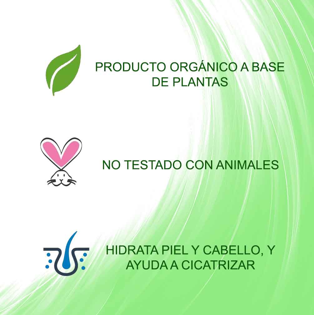 Aloe Vera Tratamiento Ayurvedico Radhe Shyam