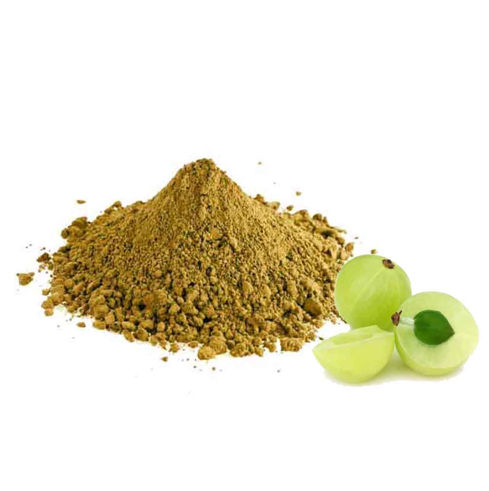 Amla Tratamiento Capilar Ayurvedico Radhe Shyam