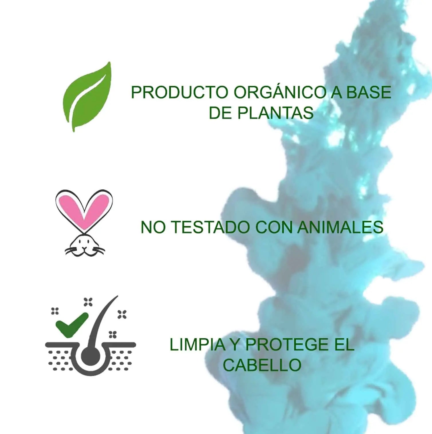 Amla Tratamiento Capilar Ayurvedico Radhe Shyam