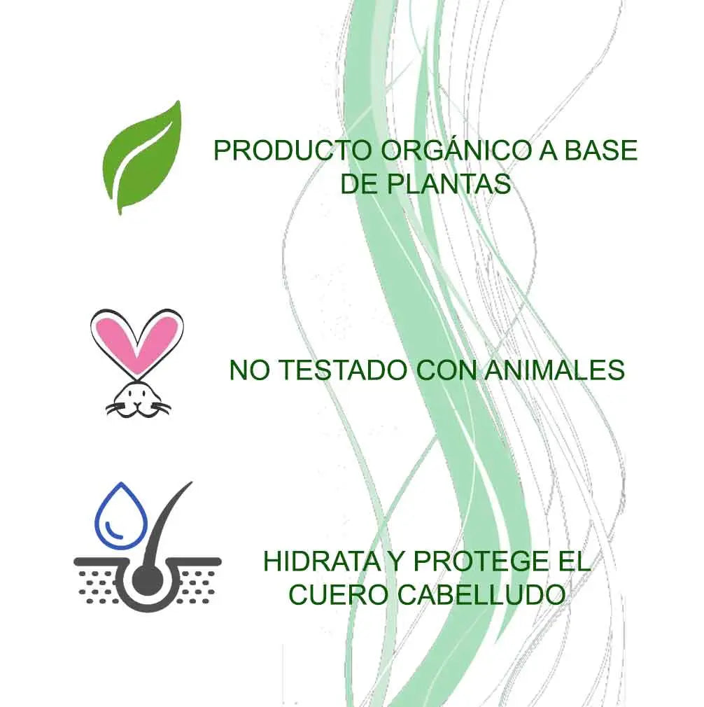 Aritha Shampoo Ayurvedico Radhe Shyam