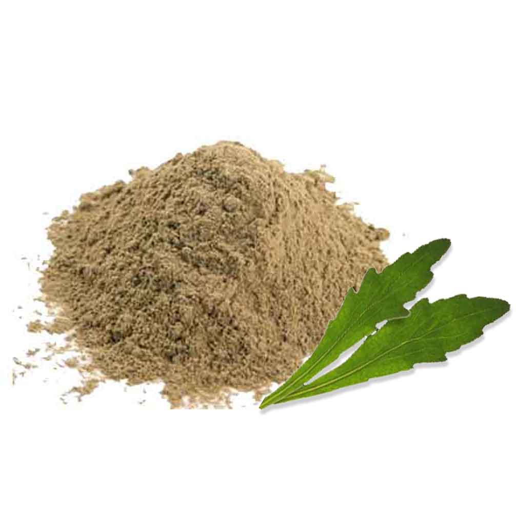 Bhringraj Tratamiento Capilar Natural Radhe Shyam