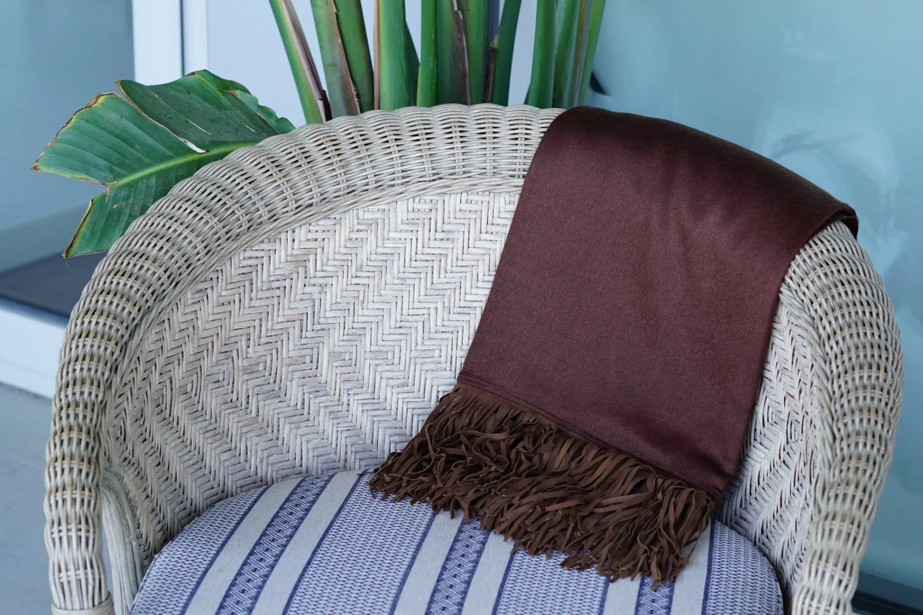 Pashmina de cashmere y seda Radhe Shyam test