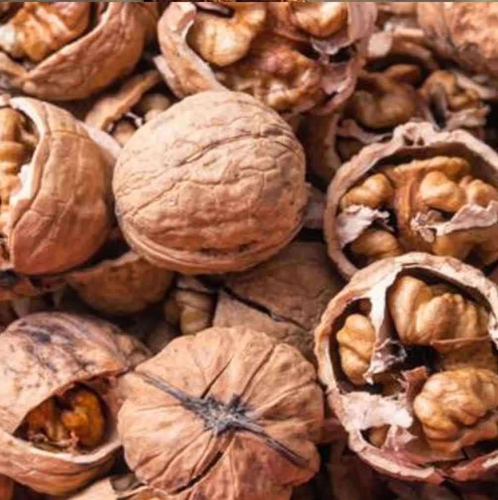 Cascara De Nuez Tratamiento Ayurvedico Radhe Shyam