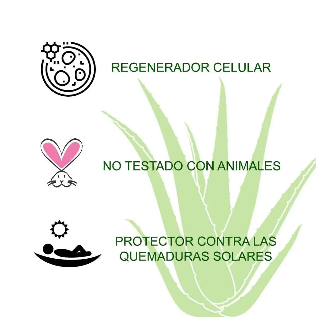 Gel De Aloe Vera Radhe Shyam