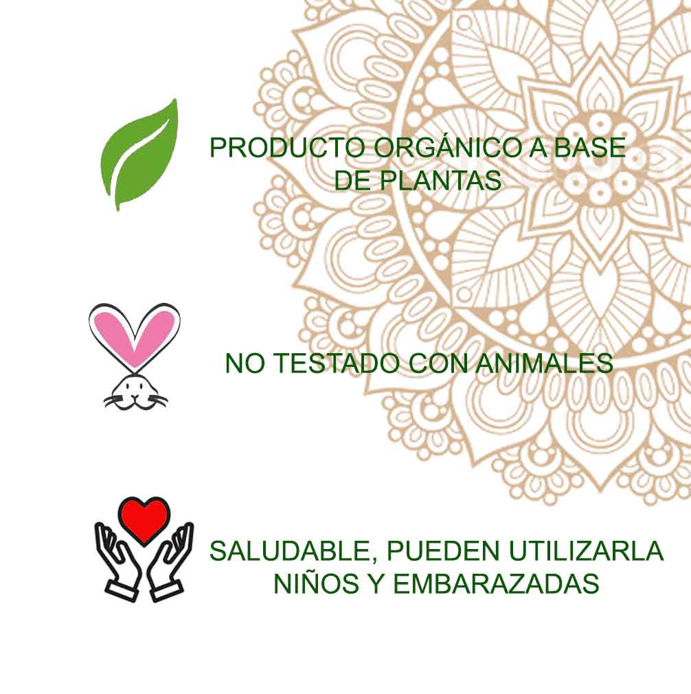 Henna Tatuaje Pasta Radhe Shyam