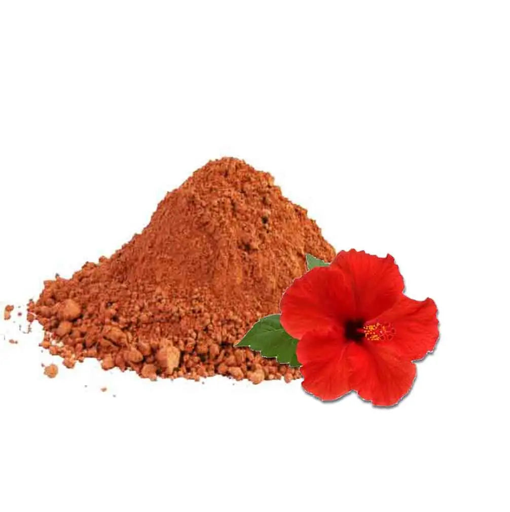 Hibiscus Tratamiento Capilar Natural Radhe Shyam