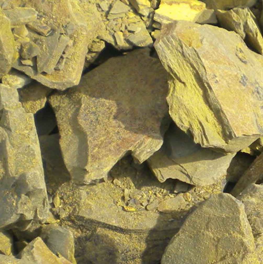 Multani Mitti Tratamiento Capilar Natural Radhe Shyam