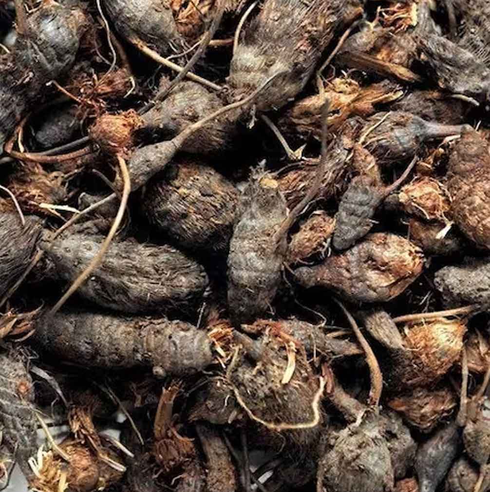 Nagarmota Tratamiento Capilar Natural Radhe Shyam