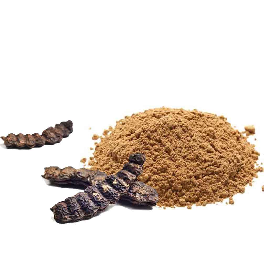 Shikakai Shampoo Ayurvedico Radhe Shyam