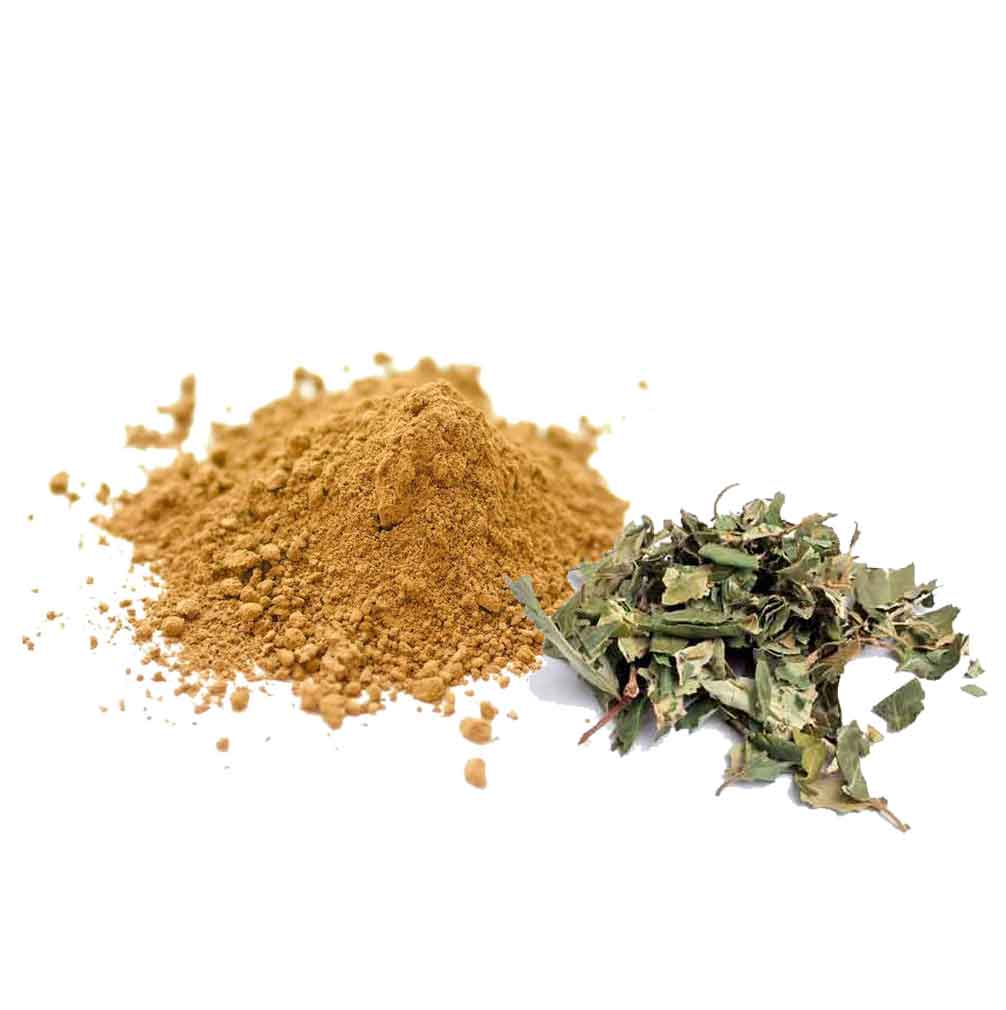 Sidr Tratamiento Capilar Natural Radhe Shyam