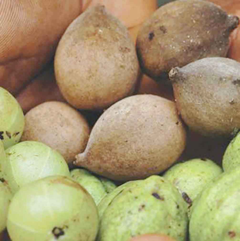 Triphala Tratamiento Capilar Natural Radhe Shyam