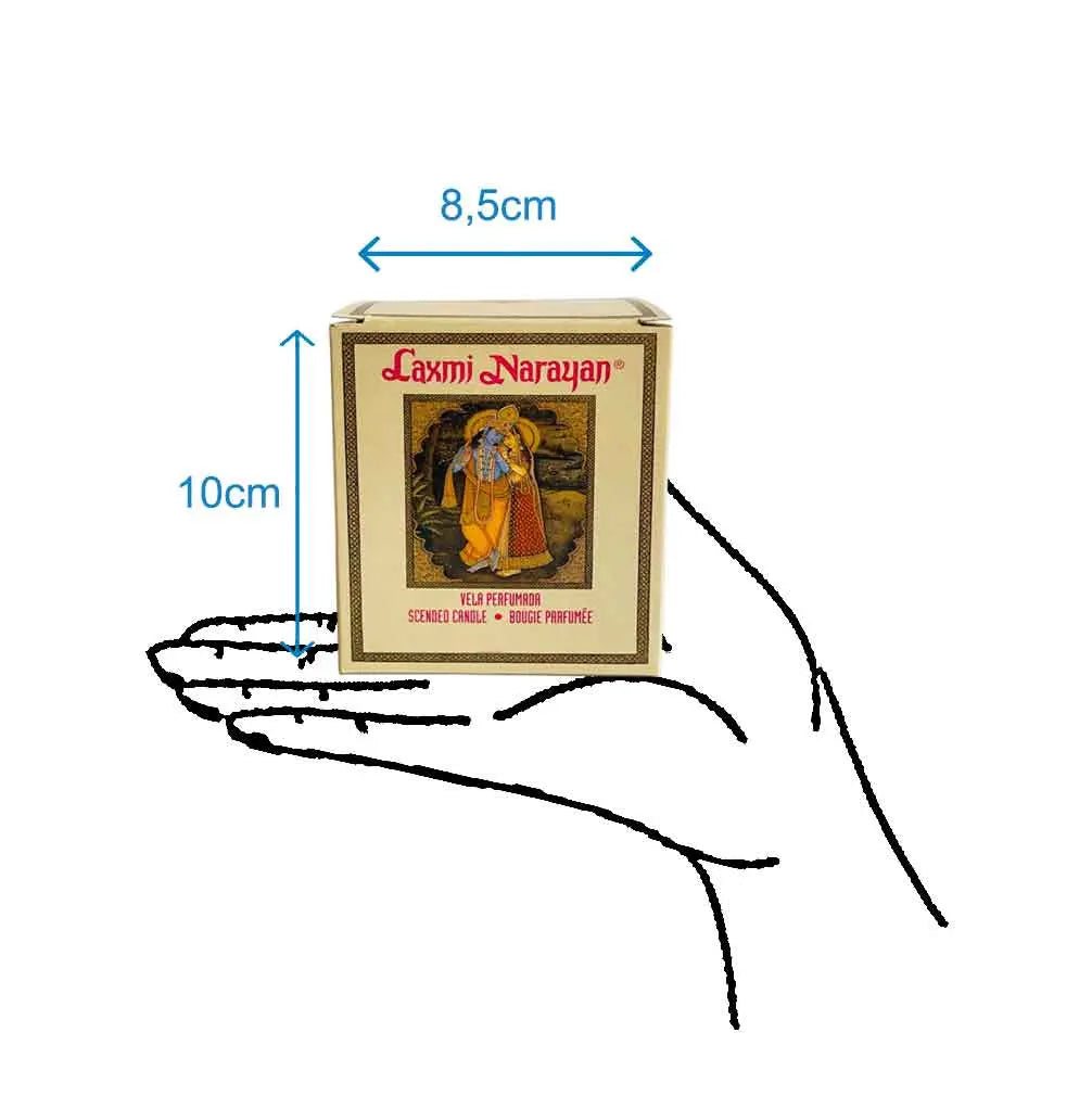 Vela Laxmi Narayan Govinda Laxmi Narayan