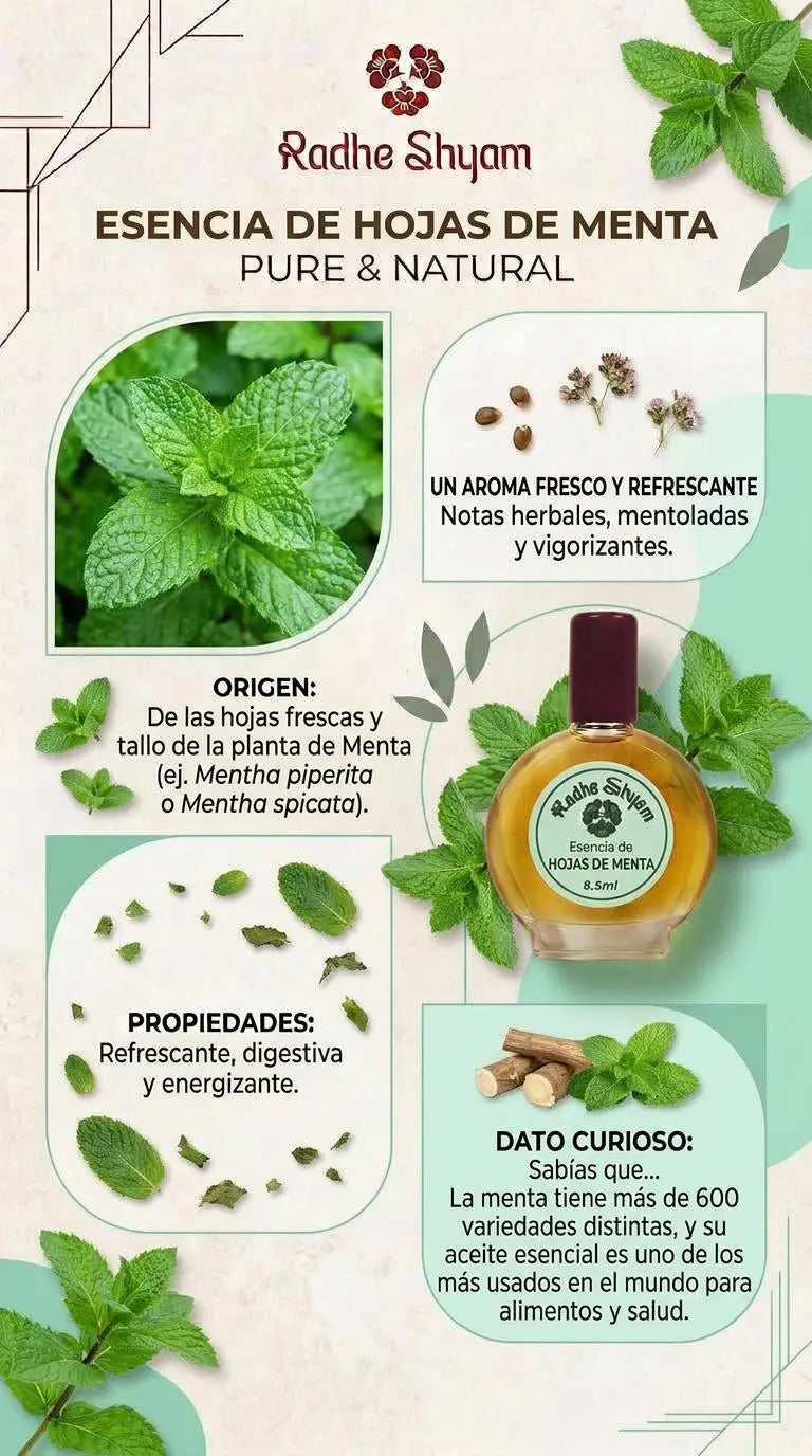 Radhe Shyam Essence Mint Leaves