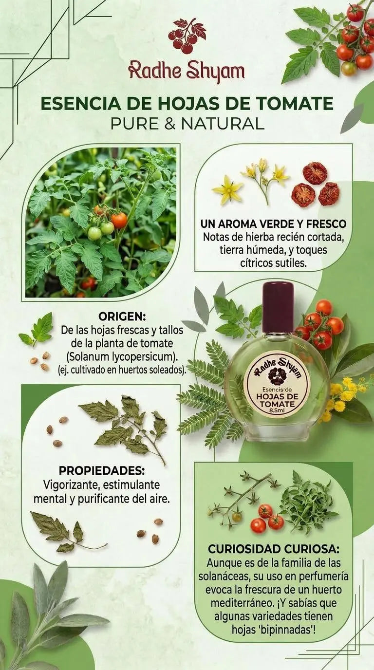 Radhe Shyam Essence Tomato Leaves