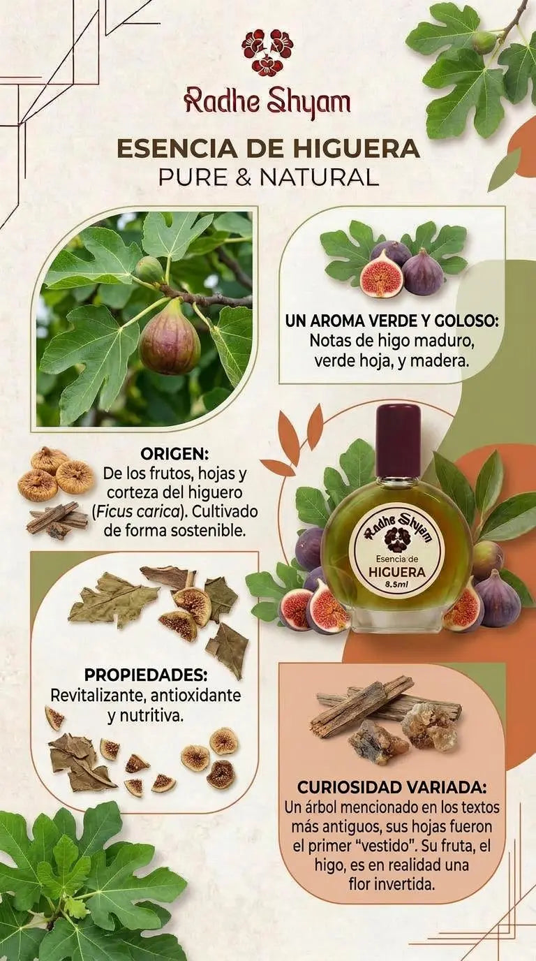 Radhe Shyam Fig Tree Essence