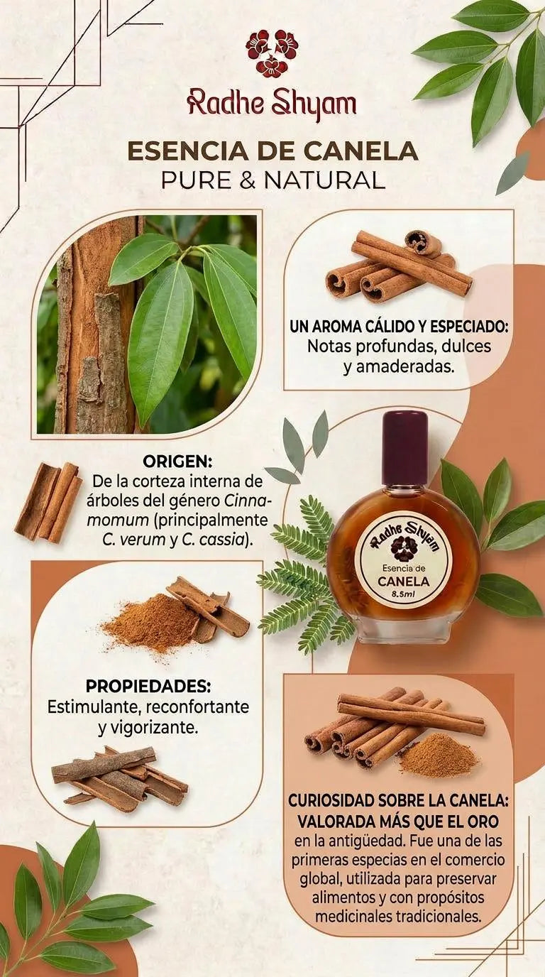 Radhe Shyam Cinnamon Essence