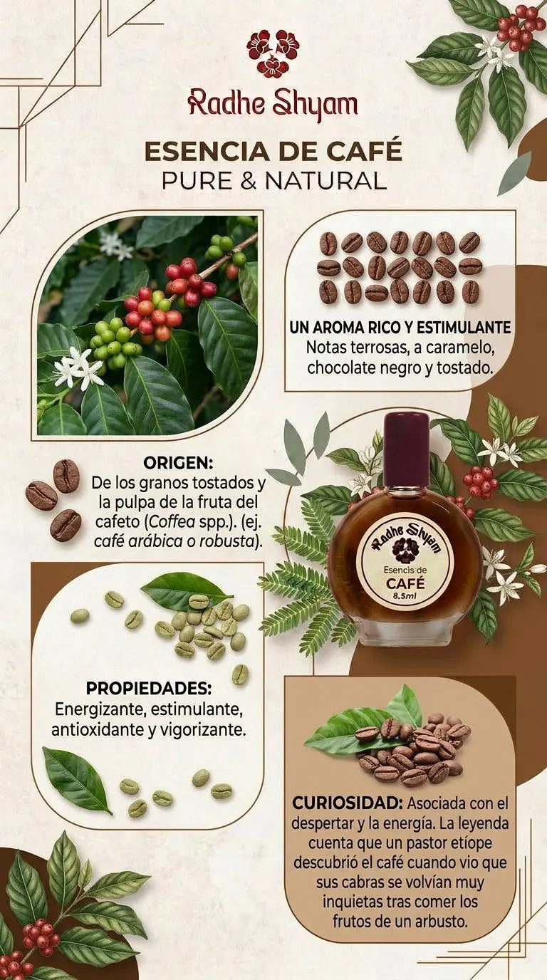 Radhe Shyam Cafe Essence