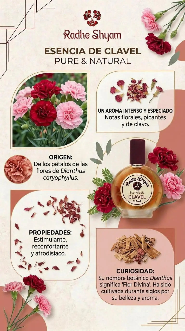 Radhe Shyam Carnation Essence 