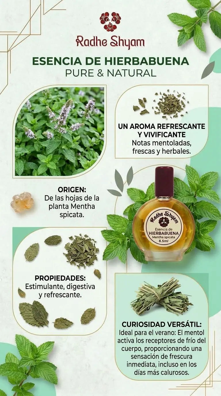 Radhe Shyam Peppermint Essence 