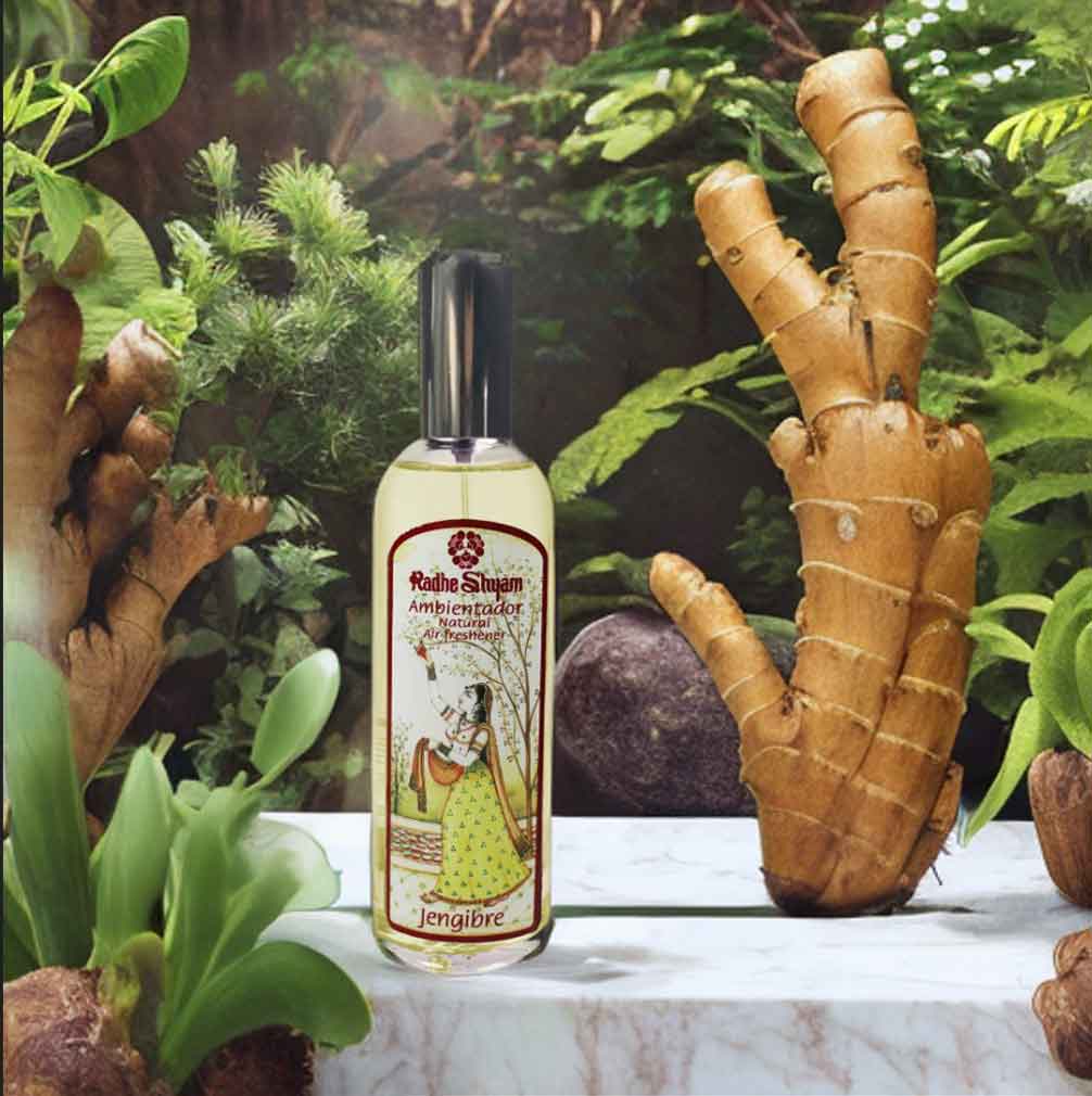 Radhe Shyam Natural Liquid Air Freshener - Ginger