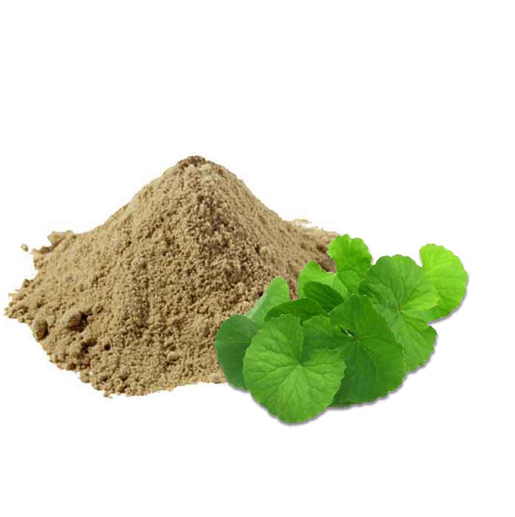 Traitement capillaire naturel Brahmi