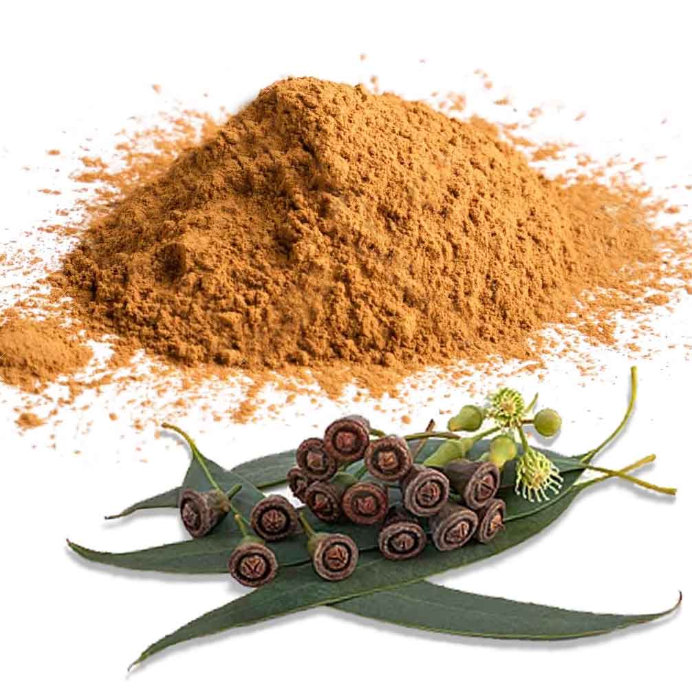 Eucalyptus Natural Hair Treatment