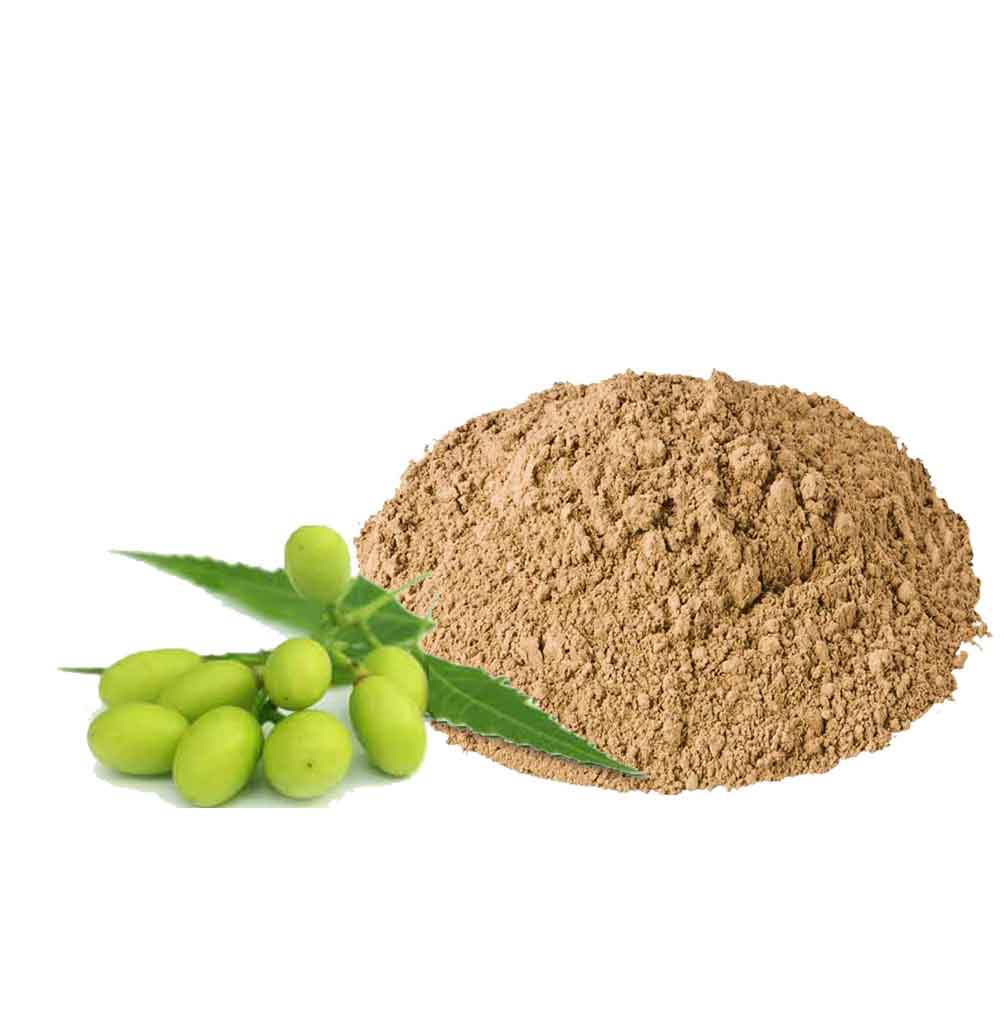 Neem Natural Hair Treatment