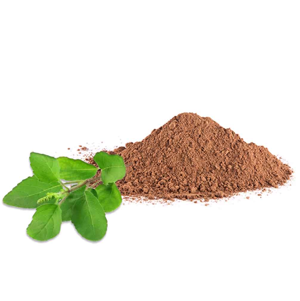 Traitement capillaire naturel Tulsi